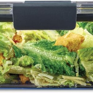Clear Rectangular Food Storage Containers With Dark Gray Lids, Set of Five - Image 11